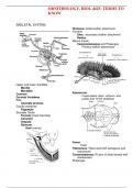 ORNITHOLOGY, BIOL 4425: TERMS TO KNOW