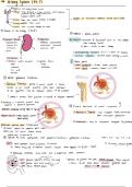 Purdue Biol 204 Exam 3 Review 