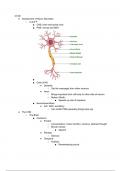 Neuro Disorders 