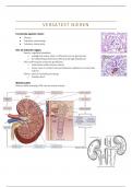 verstatest nieren 2.1.1 