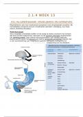 Samenvatting -  thema 4 Tractus Digestivus week 13