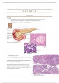 Samenvatting -  thema 4 Tractus Digestivus week 14