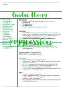 AQA Psychology Aggression revision notes