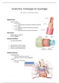 anatomie samenvatting hart en vaat h6