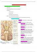 IAP100 Test Review Package