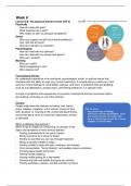 Collegesamenvatting minor CCAA (anesthesiologie & IC) 