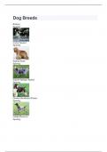 LATEST UPDATE Dog Breeds EXAMS