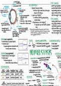 Biology Module 5 — Homeostasis & Response 