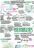 Biology Module 4 — Bioenergetics 