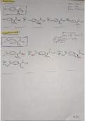 Algemene Chemie: Alle aminozuren en hun verandering volgens de pH, gebruik makend van pka's