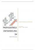 Professionele ontwikkeling 2B