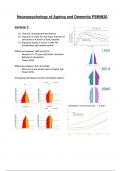 Summary Neuropsychology of Ageing and Dementia