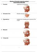 Muscles of the body (Lacks the actions) Exam Review 2023-2024