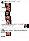 A&P 1 101 Module 4 Skeletal system Latest Exam (Portage Learning) 2024