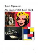 Kunst Algemeen ALLE examenstof HAVO 2024