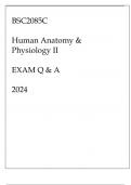 BSC2085C HUMAN ANATOMY & PHYSIOLOGY II EXAM Q & A 2024