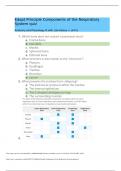 BIOS 255 Edapt Principle Components of the Respiratory System quiz (100% correct answers)