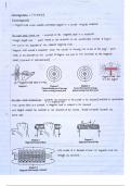 Electrodynamics grade 12 IEB notes