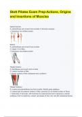 Stott Pilates Exam (2023)| Origins and Insertions of Muscles (100% Accurate)| WITH IMAGES/ILLUSTRATIONS