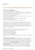 Samenvatting Verdiepend Straf(proces)recht (RB2402)