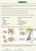 Brein & Cognitie 1: Inleiding 