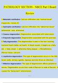 PATHOLOGY SECTION - NBCE Part I Board Review | Questions with 100% Correct Answers | Verified | Updated 2024