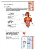 Dierfysiologie deeltoets 2 samenvatting hc