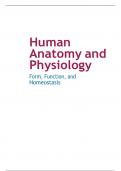 Human  Anatomy and  Physiology Form, Function, and  Homeostasis