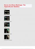 Bones And Bone Markings The Appendicular Skeleton exam question and answer latest update 