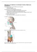 BIOLOGY 151 MODULE 3 SUMMARY NOTES (PORTAGE LEARNING)