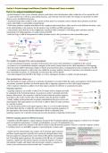 Section 3 and 4: Protein processing, trafficking & turnover  (MCB3025F) notes