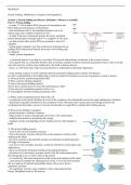 Section 1 and 2: Protein processing, traffiking and turnover  (MCB3025F) notes