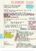 Health assessment- Respiratory system 