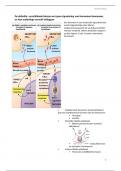 Leerstof les 7 -Hormonale regulatie