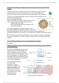 Celbiologie les 7 - Themales HPV