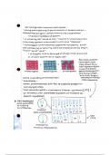 AP Biology Genetic Recombination Notes