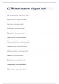 CCEP heart/nephron diagram label with verified solution 2024