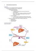 Samenvatting - Endocrino 