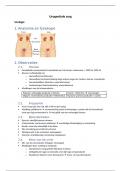 VMV 4 (urogenitale zorg)