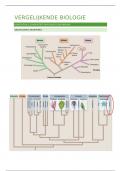 Samenvatting diversiteit en evolutie van bouwplan -  Vergelijkende biologie (E05C2A)
