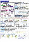 Stereoisomerism