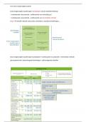 Samenvatting toegevoegde waarde economie 