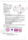 Apuntes T17-21 Biología médica