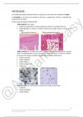 Apuntes Histología Biología médica