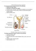 Important diagrams in Biology and Zoology 