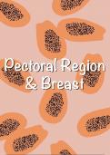 Anatomy notes, The Pectoral Region & Breast