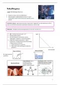 Samenvatting industriegame: productie en controle (15/20)