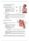 Samenvatting Menselijke biologie en genetica hoofdstuk 10