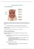 Samenvatting Menselijke biologie en genetica hoofdstuk 11