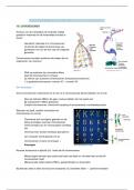 Samenvatting menselijke biologie en genetica hoofdstuk 19